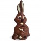 Milk chocolate funny bunny,...